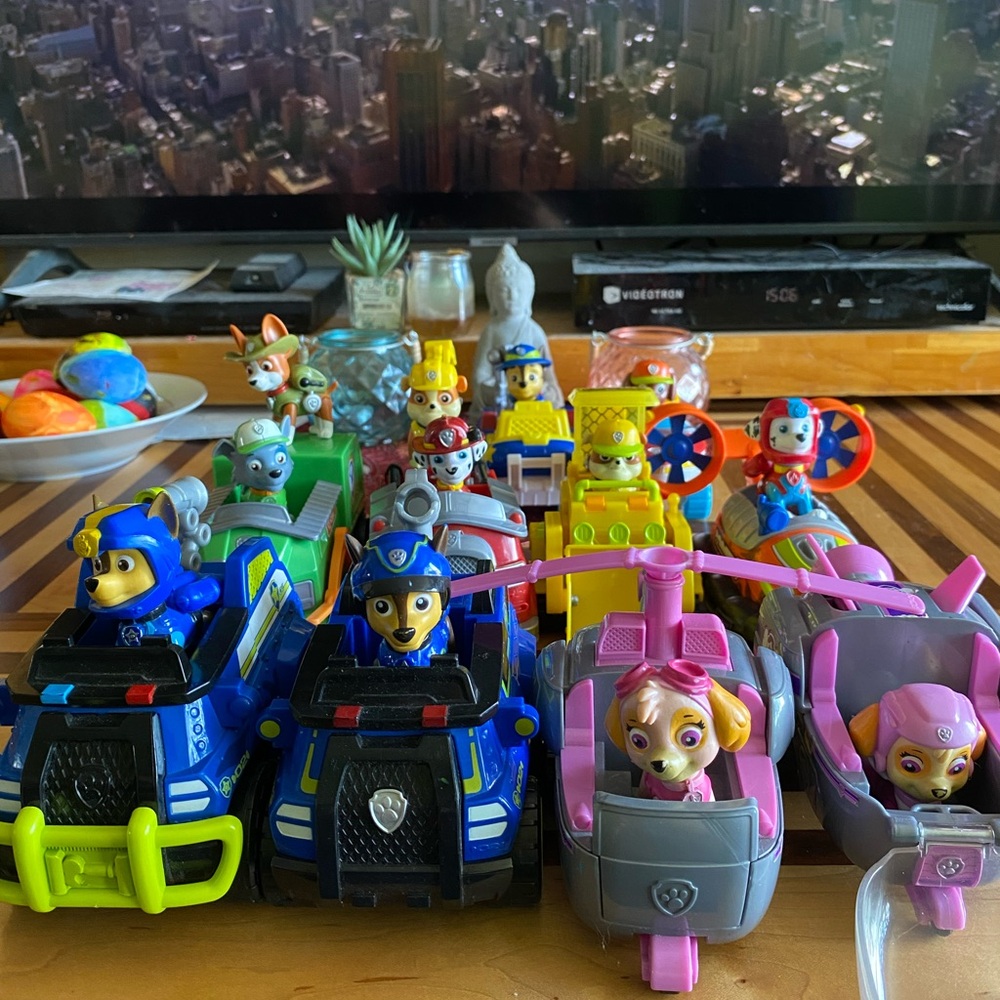 Paw Patrol Set